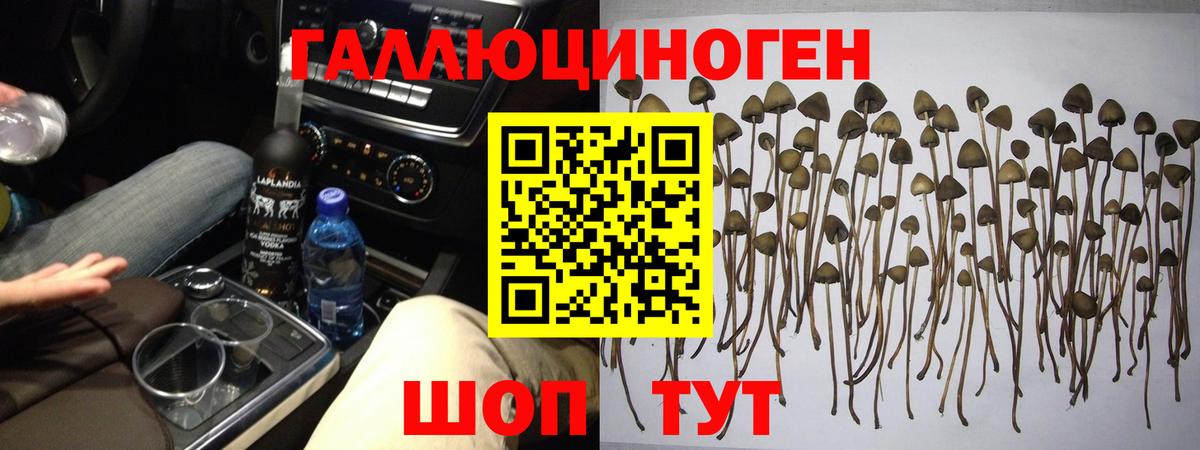 Псилоцибиновые грибы Magic Shrooms Чебаркуль
