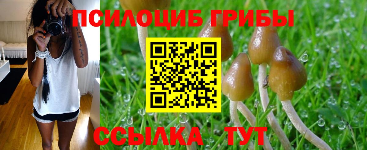 Псилоцибиновые грибы Psilocybe  Вход с VPN  продажа наркотиков  Чебаркуль 